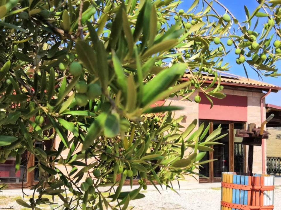 Country House Torrenera Morro d'Oro Bagian luar foto