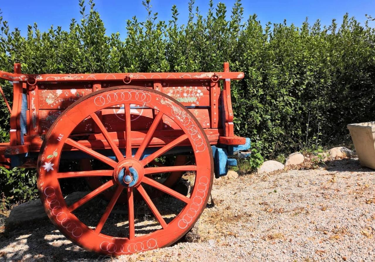 Country House Torrenera Morro d'Oro Bagian luar foto